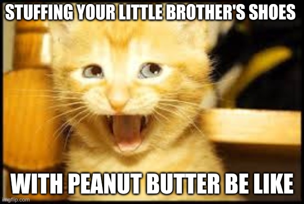Yeah, I get it. I'm mean sometimes. | STUFFING YOUR LITTLE BROTHER'S SHOES; WITH PEANUT BUTTER BE LIKE | image tagged in cat memes | made w/ Imgflip meme maker