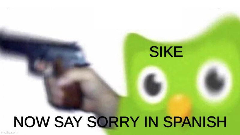 duolingo gun | SIKE NOW SAY SORRY IN SPANISH | image tagged in duolingo gun | made w/ Imgflip meme maker