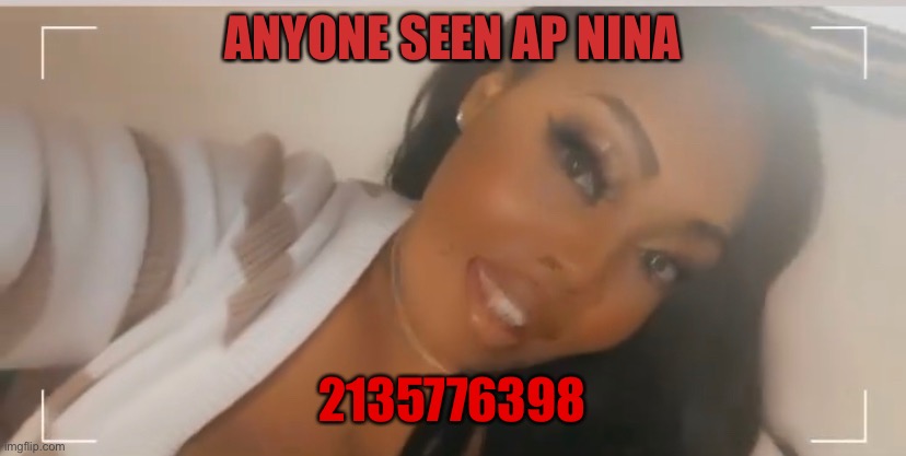 Who seen Ap nina | ANYONE SEEN AP NINA; 2135776398 | image tagged in who cares | made w/ Imgflip meme maker