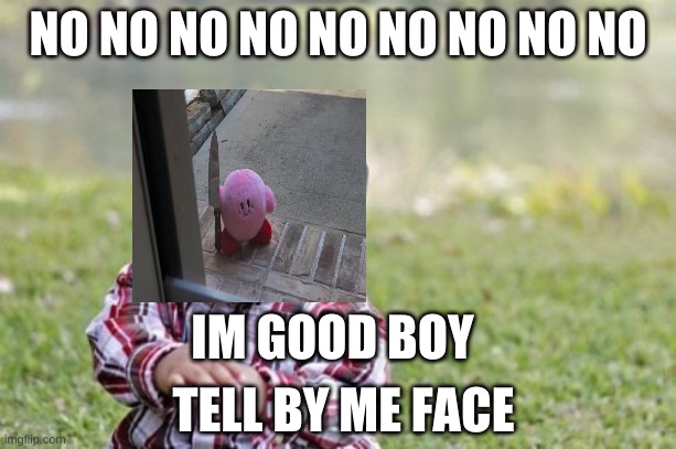 Evil Toddler Meme | NO NO NO NO NO NO NO NO NO; IM GOOD BOY; TELL BY ME FACE | image tagged in memes,evil toddler | made w/ Imgflip meme maker