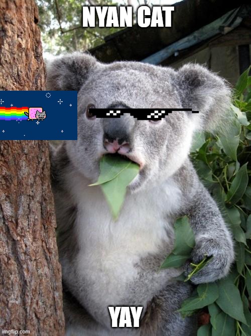 yug$f$ujgtewokgy$gi%hujb$njk#w | NYAN CAT; YAY | image tagged in memes,surprised koala | made w/ Imgflip meme maker