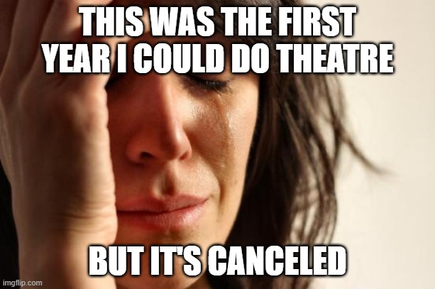 NOOOOOOOOOO | THIS WAS THE FIRST YEAR I COULD DO THEATRE; BUT IT'S CANCELED | image tagged in memes,first world problems | made w/ Imgflip meme maker