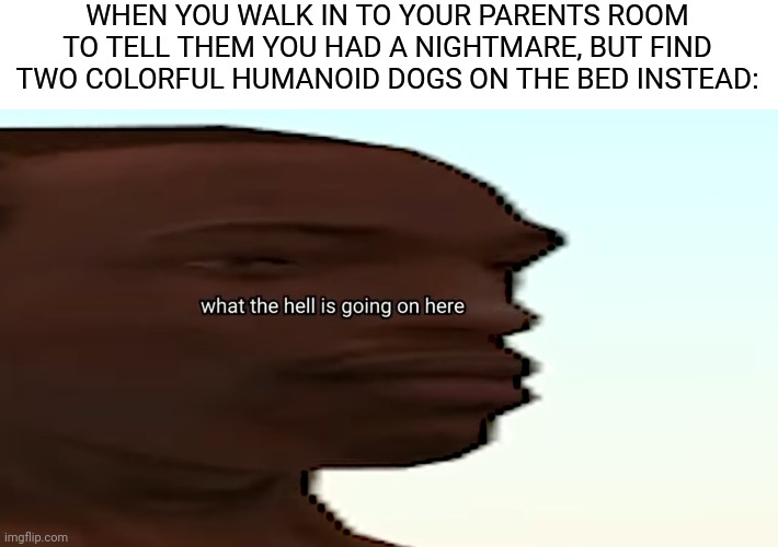 Fur on the bed | WHEN YOU WALK IN TO YOUR PARENTS ROOM TO TELL THEM YOU HAD A NIGHTMARE, BUT FIND TWO COLORFUL HUMANOID DOGS ON THE BED INSTEAD: | image tagged in confused cj,furry,gta san andreas | made w/ Imgflip meme maker