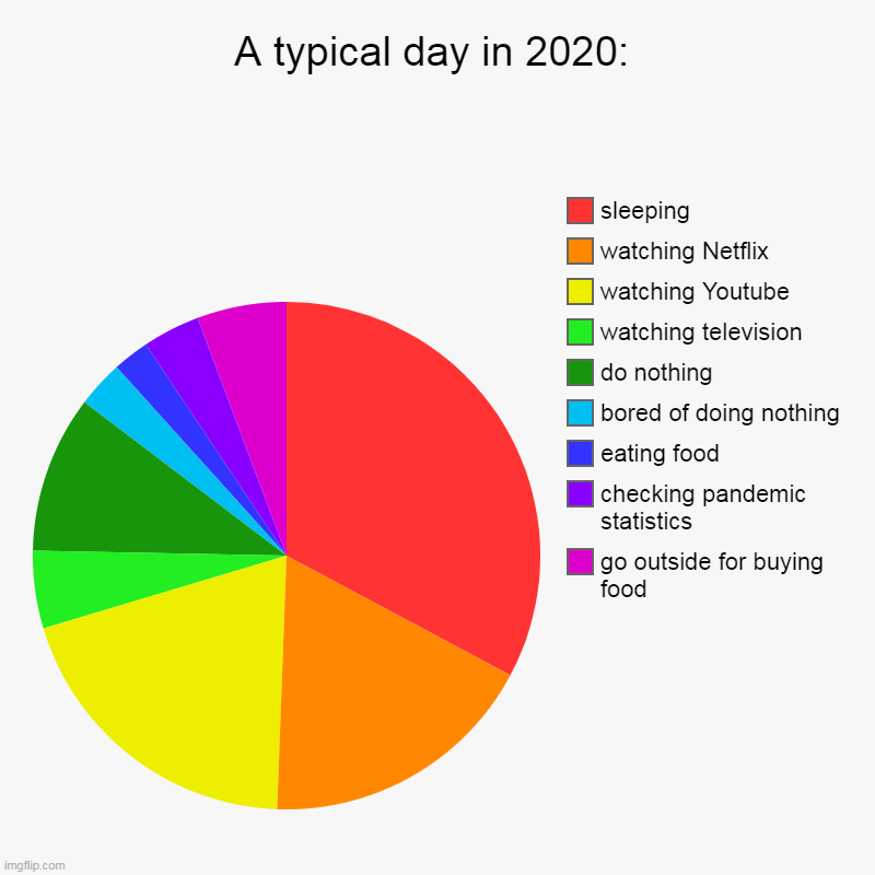 A typical day in 2020 | A typical day in 2020: | go outside for buying food, checking pandemic statistics, eating food, bored of doing nothing, do nothing, watching | image tagged in charts,pie charts,pandemic,reality | made w/ Imgflip chart maker