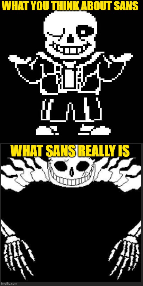 sans undertale | WHAT YOU THINK ABOUT SANS; WHAT SANS REALLY IS | image tagged in sans undertale | made w/ Imgflip meme maker