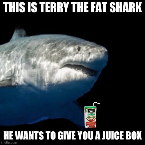 Please accept the juice box | THIS IS TERRY THE FAT SHARK; HE WANTS TO GIVE YOU A JUICE BOX | image tagged in memes | made w/ Imgflip meme maker