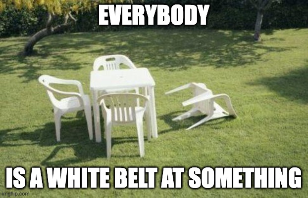 Everybody is a White Belt at Something | EVERYBODY; IS A WHITE BELT AT SOMETHING | image tagged in martial arts | made w/ Imgflip meme maker