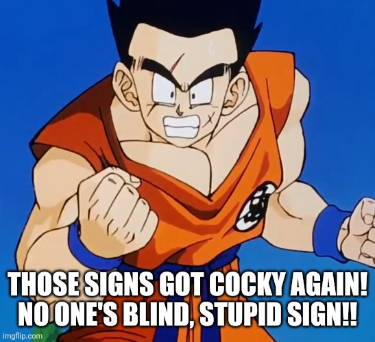 THOSE SIGNS GOT COCKY AGAIN! NO ONE'S BLIND, STUPID SIGN!! | made w/ Imgflip meme maker