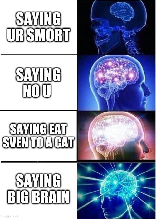Expanding Brain Meme | SAYING UR SMORT; SAYING NO U; SAYING EAT SVEN TO A CAT; SAYING BIG BRAIN | image tagged in memes,expanding brain | made w/ Imgflip meme maker