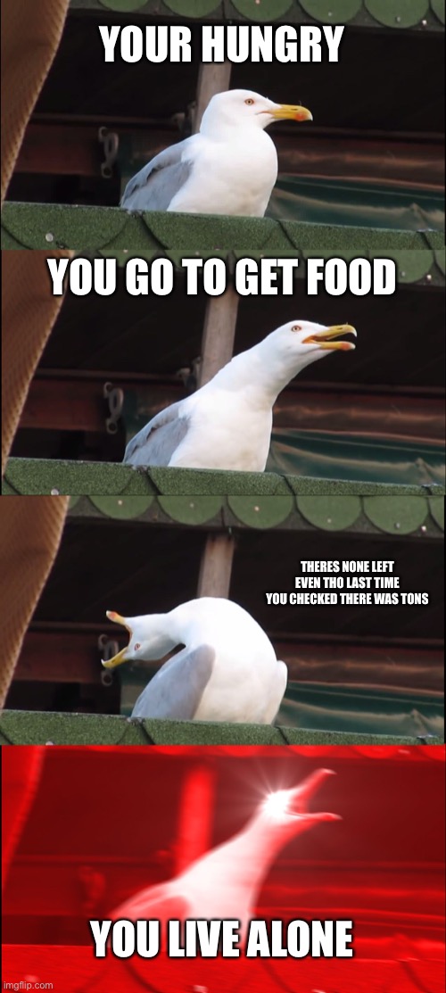 Oh no | YOUR HUNGRY; YOU GO TO GET FOOD; THERES NONE LEFT EVEN THO LAST TIME YOU CHECKED THERE WAS TONS; YOU LIVE ALONE | image tagged in memes,inhaling seagull | made w/ Imgflip meme maker