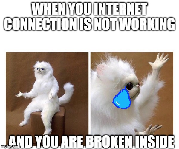 I N T E R N E T   F A I L U R E | WHEN YOU INTERNET CONNECTION IS NOT WORKING; AND YOU ARE BROKEN INSIDE | image tagged in persian cat meme | made w/ Imgflip meme maker