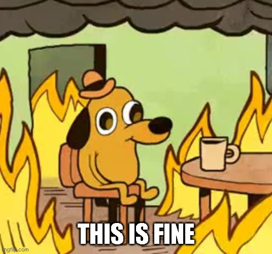 Its fine | THIS IS FINE | image tagged in its fine | made w/ Imgflip meme maker