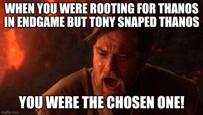 only for people who watched endgame. | WHEN YOU WERE ROOTING FOR THANOS IN ENDGAME BUT TONY SNAPED THANOS; YOU WERE THE CHOSEN ONE! | image tagged in memes,you were the chosen one star wars | made w/ Imgflip meme maker
