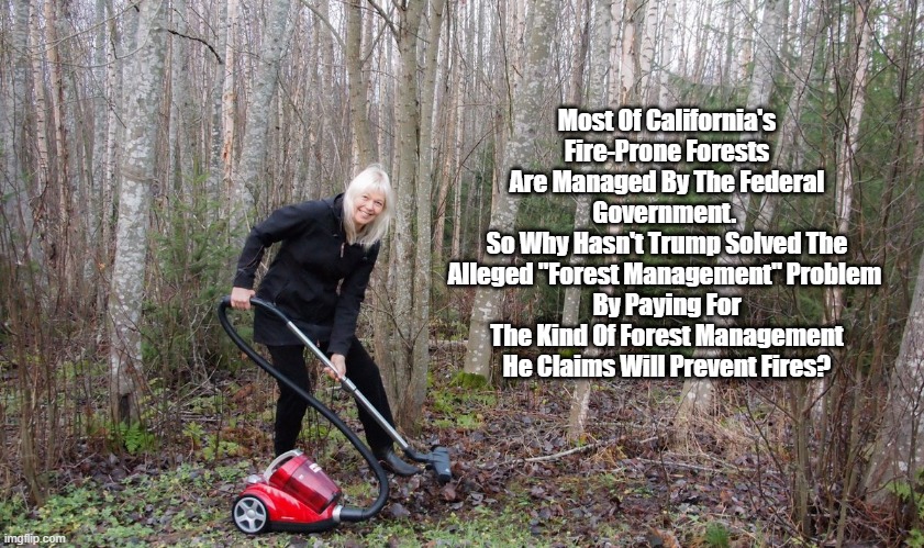 "Okay, Donald. You're Turn. Rake Those Forest Floors!" | Most Of California's Fire-Prone Forests Are Managed By The Federal Government. 
So Why Hasn't Trump Solved The Alleged "Forest Management" Problem 
By Paying For The Kind Of Forest Management He Claims Will Prevent Fires? | image tagged in donald trump,forest management,rake forest floors,guess who owns most of californias forests | made w/ Imgflip meme maker