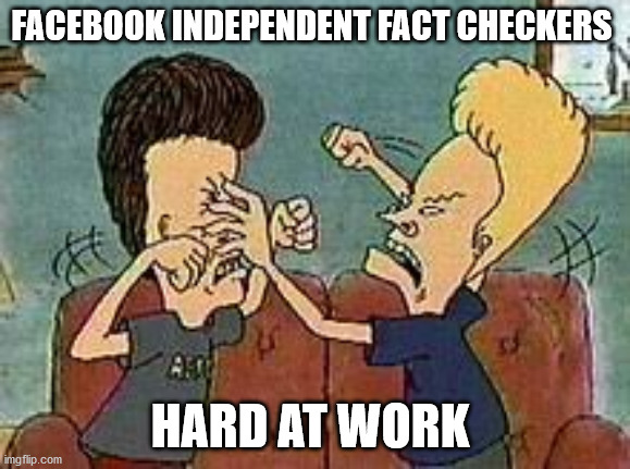 beavis butthead fighting | FACEBOOK INDEPENDENT FACT CHECKERS; HARD AT WORK | image tagged in beavis butthead fighting,beavis butthead facebook fact checkers | made w/ Imgflip meme maker