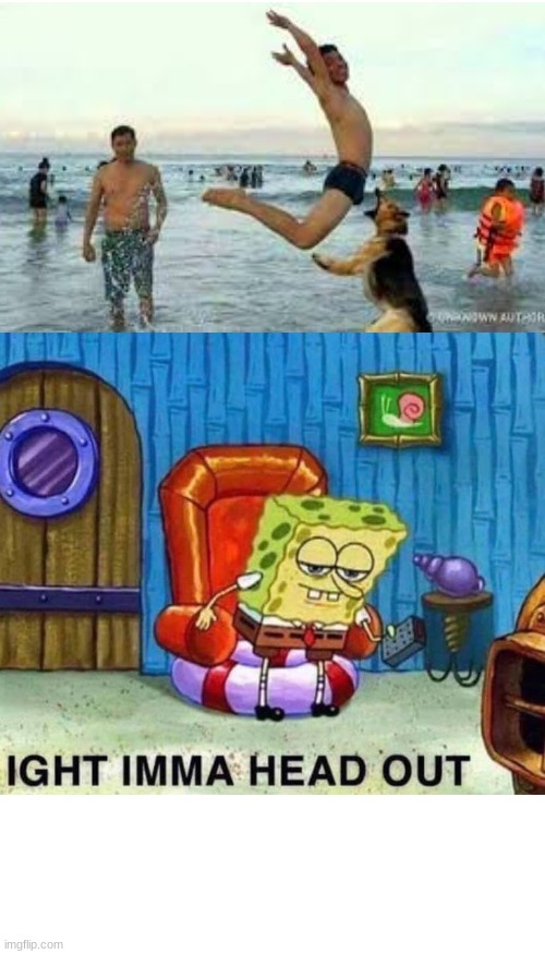 ouch | image tagged in memes,spongebob ight imma head out,dog,beach,funny | made w/ Imgflip meme maker