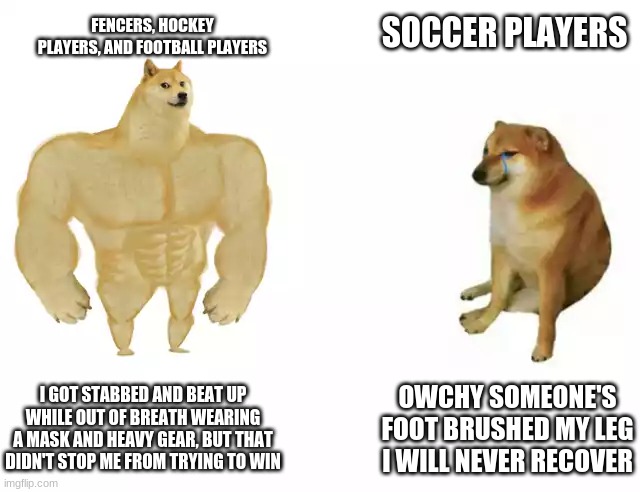 soccer players be like | SOCCER PLAYERS; FENCERS, HOCKEY PLAYERS, AND FOOTBALL PLAYERS; I GOT STABBED AND BEAT UP WHILE OUT OF BREATH WEARING A MASK AND HEAVY GEAR, BUT THAT DIDN'T STOP ME FROM TRYING TO WIN; OWCHY SOMEONE'S FOOT BRUSHED MY LEG I WILL NEVER RECOVER | image tagged in buff doge vs cheems,soccer,football,hockey,fencing | made w/ Imgflip meme maker