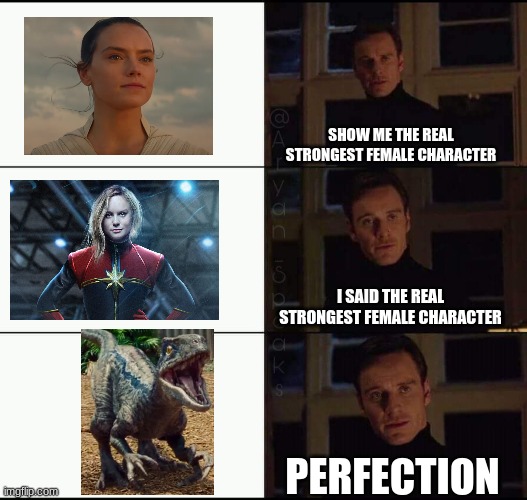not my original idea, but I still made it | SHOW ME THE REAL STRONGEST FEMALE CHARACTER; I SAID THE REAL STRONGEST FEMALE CHARACTER; PERFECTION | image tagged in show me the real,jurassic park,captain marvel,rey | made w/ Imgflip meme maker