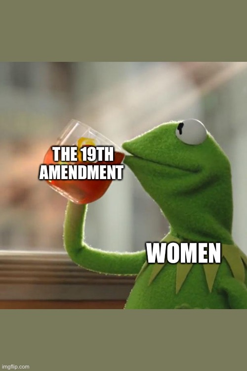 But That's None Of My Business Meme | THE 19TH AMENDMENT; WOMEN | image tagged in memes,but that's none of my business,kermit the frog | made w/ Imgflip meme maker