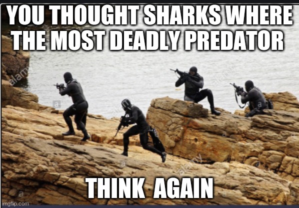 most deadly | YOU THOUGHT SHARKS WHERE THE MOST DEADLY PREDATOR; THINK  AGAIN | image tagged in us navy,navy seals | made w/ Imgflip meme maker