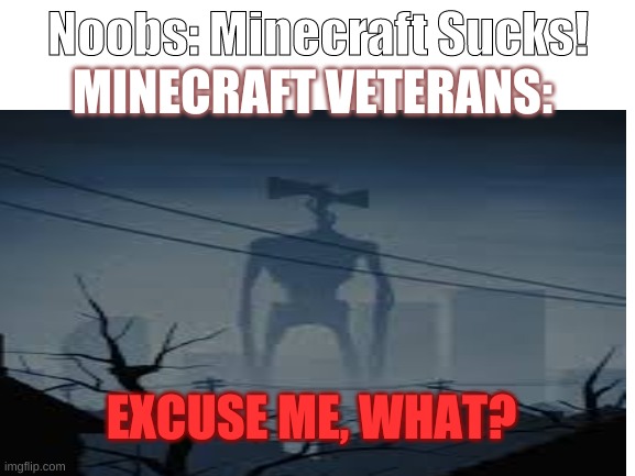 SCP 6789 Meme | MINECRAFT VETERANS:; Noobs: Minecraft Sucks! EXCUSE ME, WHAT? | image tagged in memes | made w/ Imgflip meme maker