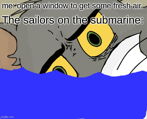 If you are in the navy and you are a crew member on a sub, dont let me anywhere near your sub | me: open a window to get some fresh air. The sailors on the submarine: | image tagged in memes,unsettled tom | made w/ Imgflip meme maker