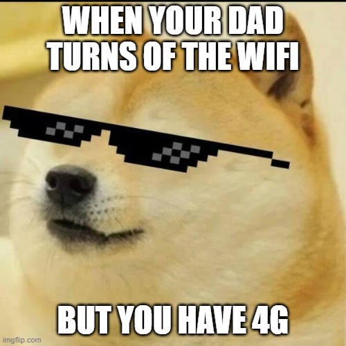 Sunglass Doge | WHEN YOUR DAD TURNS OF THE WIFI; BUT YOU HAVE 4G | image tagged in sunglass doge,gangsta,funny,memes,doge,sunglasses | made w/ Imgflip meme maker