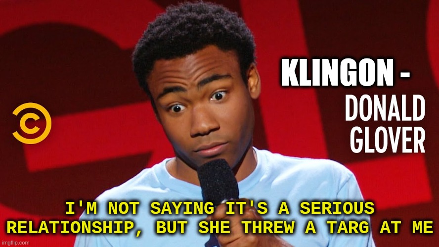 Donald Glover Standup | KLINGON -; I'M NOT SAYING IT'S A SERIOUS RELATIONSHIP, BUT SHE THREW A TARG AT ME | image tagged in donald glover punchline,glover,comedy,comic,microphone | made w/ Imgflip meme maker