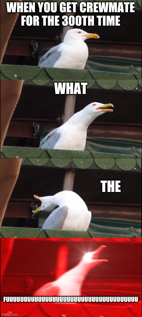 Inhaling Seagull Meme | WHEN YOU GET CREWMATE FOR THE 300TH TIME; WHAT; THE; FUUUUUUUUUUUUUUUUUUUUUUUUUUUUUUUUUUUUU | image tagged in memes,inhaling seagull | made w/ Imgflip meme maker