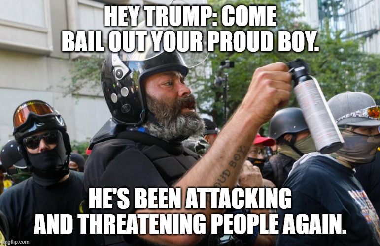 HEY TRUMP: COME BAIL OUT YOUR PROUD BOY. HE'S BEEN ATTACKING AND THREATENING PEOPLE AGAIN. | image tagged in donald trump,proud boy,alan swinney | made w/ Imgflip meme maker