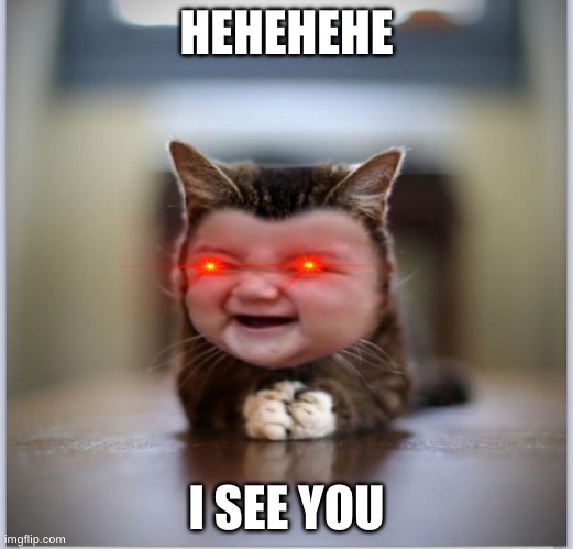 evil toddler kitten | HEHEHEHE; I SEE YOU | image tagged in evil toddler kitten | made w/ Imgflip meme maker