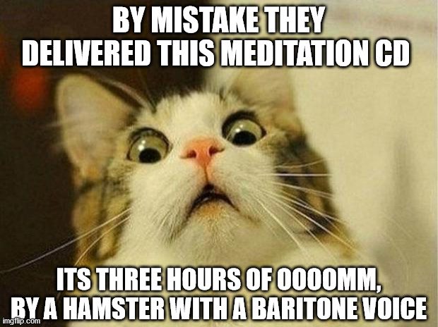 Scared Cat | BY MISTAKE THEY DELIVERED THIS MEDITATION CD; ITS THREE HOURS OF OOOOMM, BY A HAMSTER WITH A BARITONE VOICE | image tagged in memes,scared cat | made w/ Imgflip meme maker