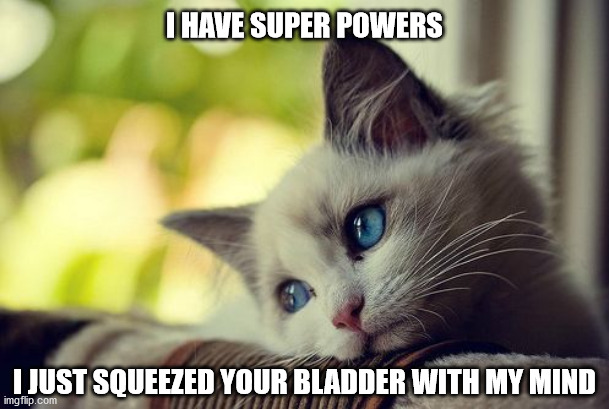 First World Problems Cat | I HAVE SUPER POWERS; I JUST SQUEEZED YOUR BLADDER WITH MY MIND | image tagged in memes,first world problems cat | made w/ Imgflip meme maker