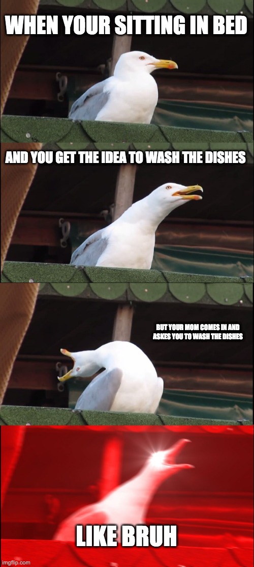 Inhaling Seagull Meme | WHEN YOUR SITTING IN BED; AND YOU GET THE IDEA TO WASH THE DISHES; BUT YOUR MOM COMES IN AND ASKES YOU TO WASH THE DISHES; LIKE BRUH | image tagged in memes,inhaling seagull | made w/ Imgflip meme maker