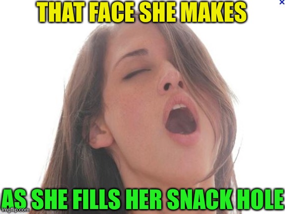 orgasm | THAT FACE SHE MAKES AS SHE FILLS HER SNACK HOLE | image tagged in orgasm | made w/ Imgflip meme maker