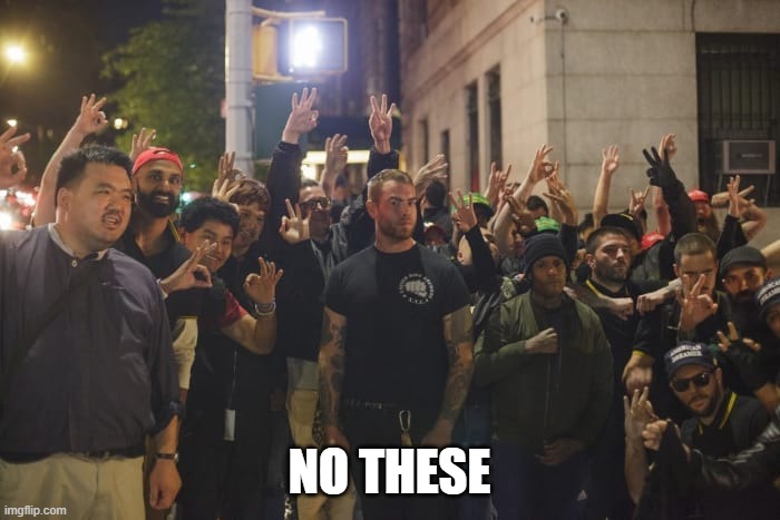 Proud Boys | NO THESE | image tagged in proud boys | made w/ Imgflip meme maker
