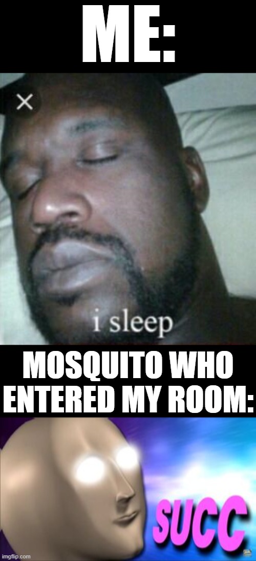 Let me sleep | ME:; MOSQUITO WHO ENTERED MY ROOM: | image tagged in memes,sleeping shaq,meme man succ,mosquito | made w/ Imgflip meme maker