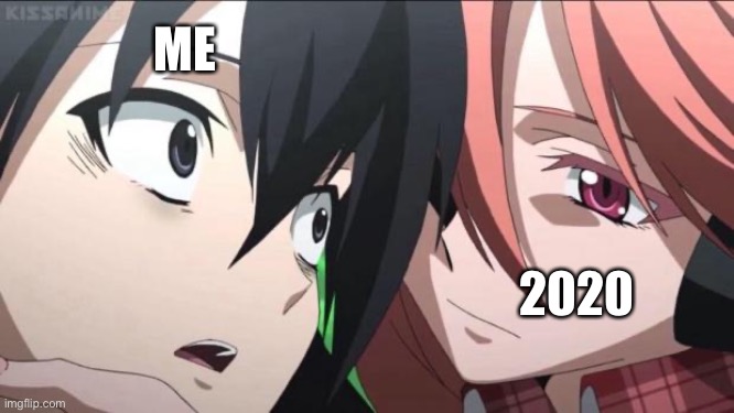 Life in 2020 | ME; 2020 | image tagged in akame ga kill 17 | made w/ Imgflip meme maker