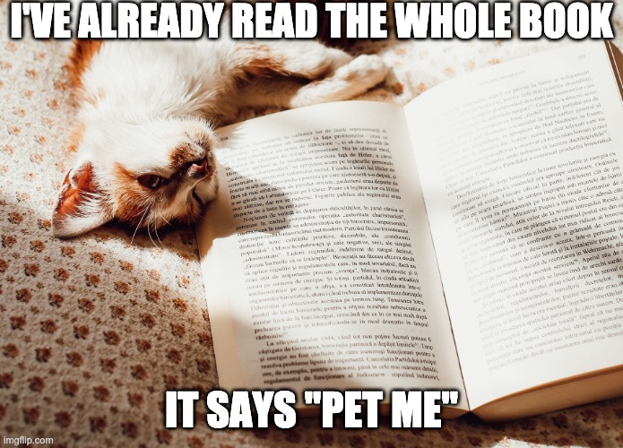 Cute Funny Cat Meme | I'VE ALREADY READ THE WHOLE BOOK; IT SAYS "PET ME" | image tagged in funny cat memes,cat memes,cat meme | made w/ Imgflip meme maker