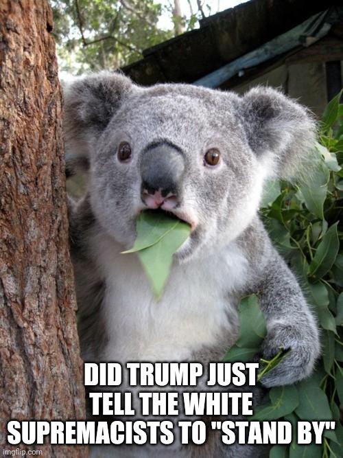 Haters on Stand By, call now, hot haters are waiting for you | DID TRUMP JUST TELL THE WHITE SUPREMACISTS TO "STAND BY" | image tagged in memes,surprised koala | made w/ Imgflip meme maker