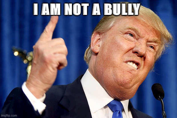 Donald Trump | I AM NOT A BULLY | image tagged in donald trump | made w/ Imgflip meme maker