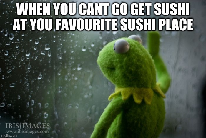 Damn | WHEN YOU CANT GO GET SUSHI AT YOU FAVOURITE SUSHI PLACE | image tagged in kermit window | made w/ Imgflip meme maker