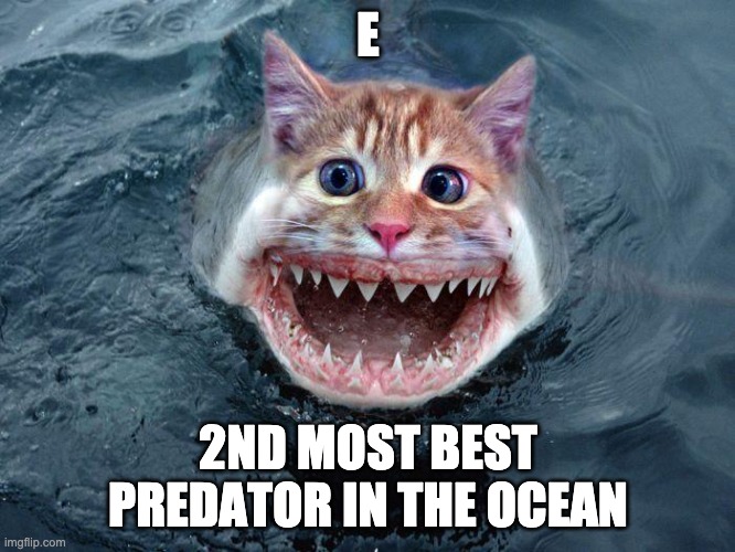 Cark | E; 2ND MOST BEST PREDATOR IN THE OCEAN | image tagged in cat memes | made w/ Imgflip meme maker