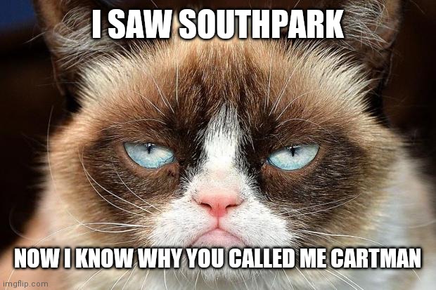Grumpy Cat Not Amused | I SAW SOUTHPARK; NOW I KNOW WHY YOU CALLED ME CARTMAN | image tagged in memes,grumpy cat not amused,grumpy cat | made w/ Imgflip meme maker