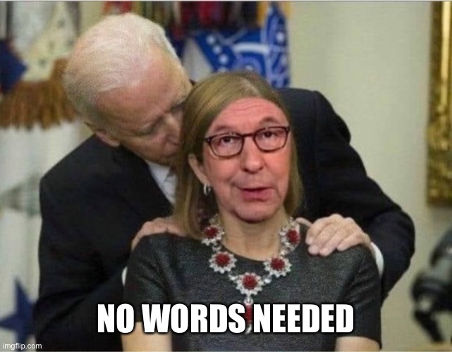 Biden and Wallace | NO WORDS NEEDED | image tagged in joe biden,presidential debate,president trump,election 2020,memes | made w/ Imgflip meme maker