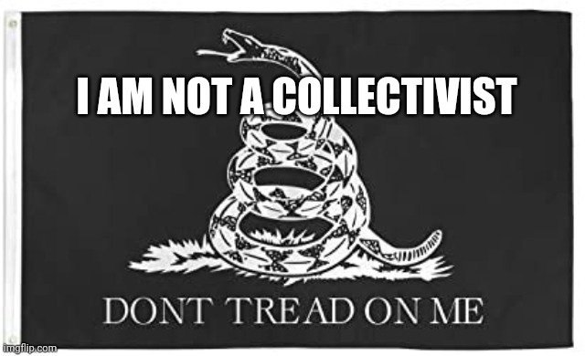 I AM NOT A COLLECTIVIST | image tagged in dont tread on me | made w/ Imgflip meme maker