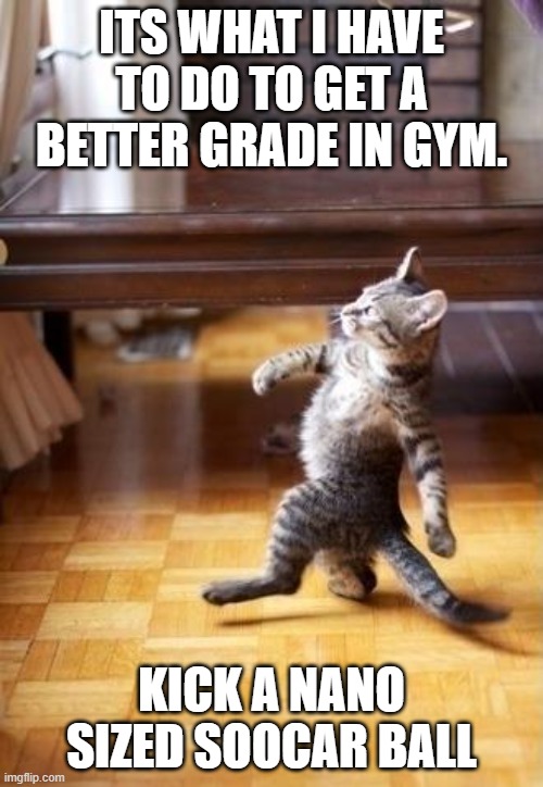 Cool Cat Stroll | ITS WHAT I HAVE TO DO TO GET A BETTER GRADE IN GYM. KICK A NANO SIZED SOOCAR BALL | image tagged in memes,cool cat stroll | made w/ Imgflip meme maker