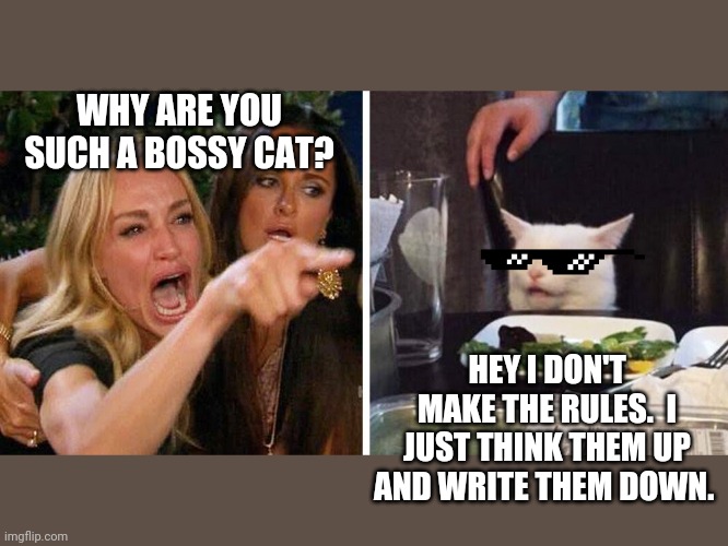 Smudge the cat | WHY ARE YOU SUCH A BOSSY CAT? HEY I DON'T MAKE THE RULES.  I JUST THINK THEM UP AND WRITE THEM DOWN. | image tagged in smudge the cat | made w/ Imgflip meme maker