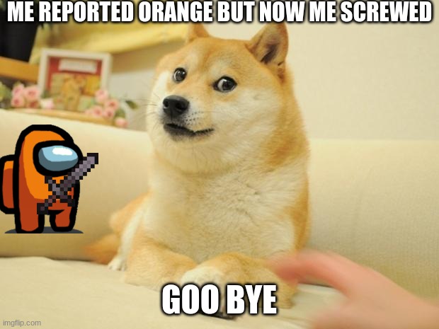 Doge 2 | ME REPORTED ORANGE BUT NOW ME SCREWED; GOO BYE | image tagged in memes,doge 2 | made w/ Imgflip meme maker