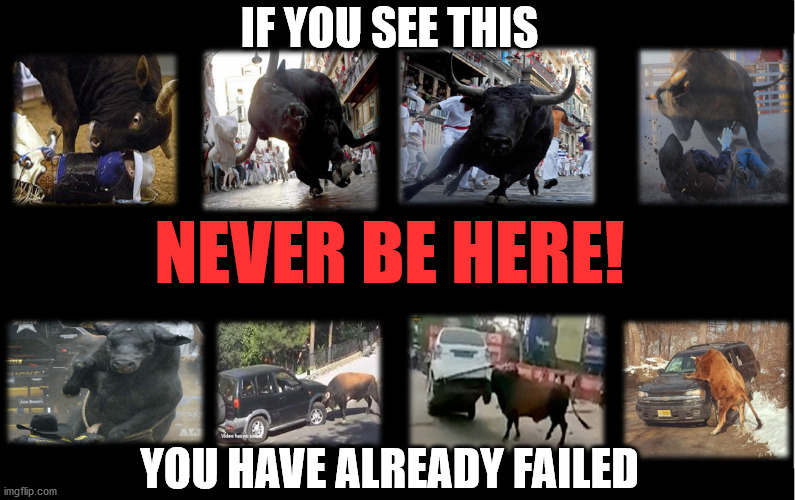 No Bull | IF YOU SEE THIS; NEVER BE HERE! YOU HAVE ALREADY FAILED | image tagged in task failed successfully,epic fail,spectacular fail,failing up,failed up,i have failed you | made w/ Imgflip meme maker